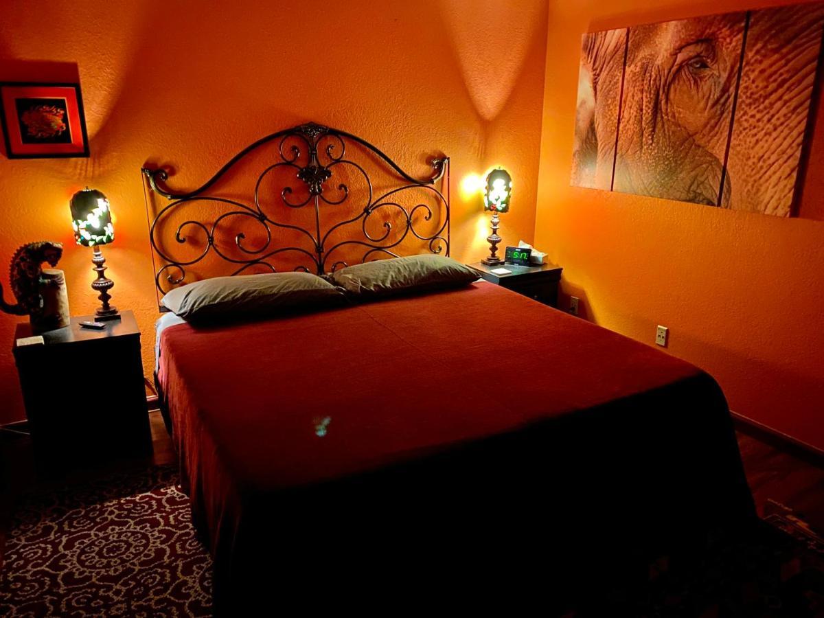 Bed and Breakfast My Big Art Project Santa Rosa Esterno foto