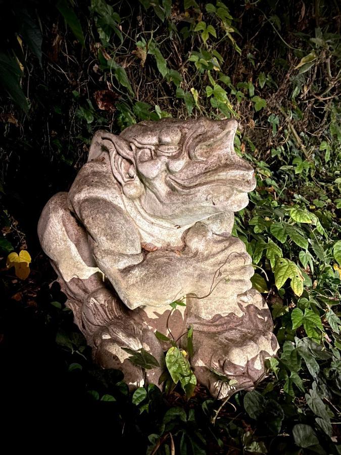Bed and Breakfast My Big Art Project Santa Rosa Esterno foto