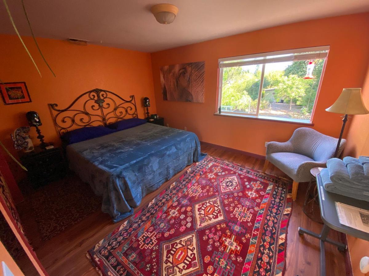 Bed and Breakfast My Big Art Project Santa Rosa Esterno foto